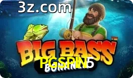 Big Bass Bonanza